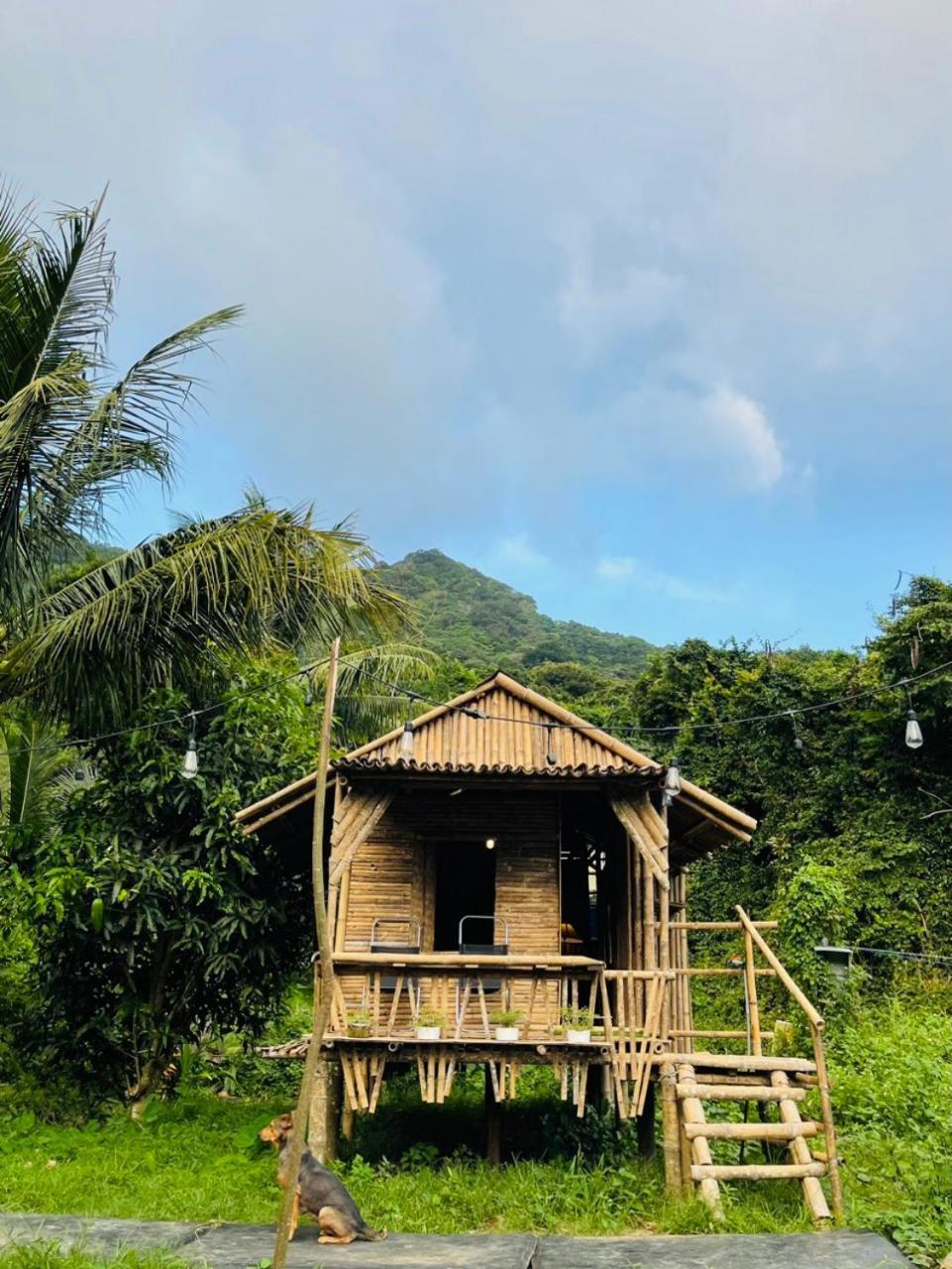 Con Dao Backpacker - Loco Camping Chi Khu Co Ong Eksteriør bilde